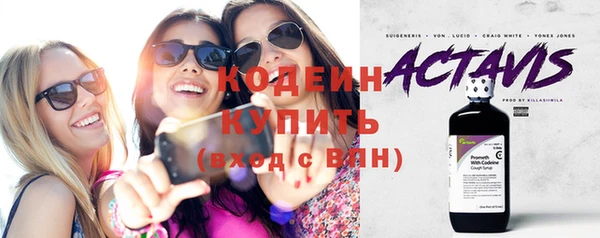 дмт Каменка