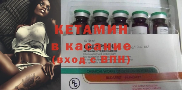 дмт Каменка