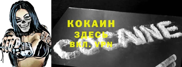 дмт Каменка