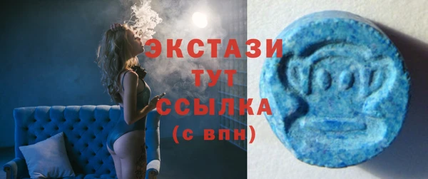 дмт Каменка