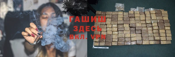 дмт Каменка