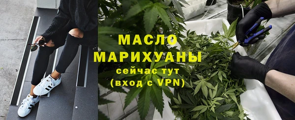 дмт Каменка