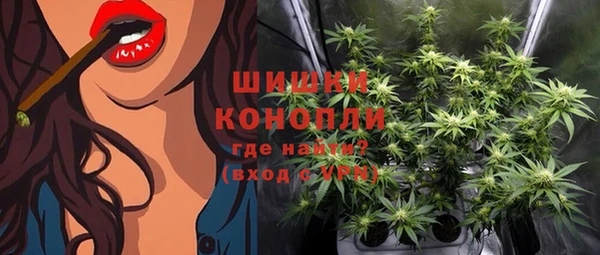 дмт Каменка