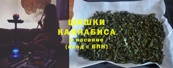 дмт Каменка