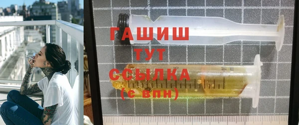 дмт Каменка