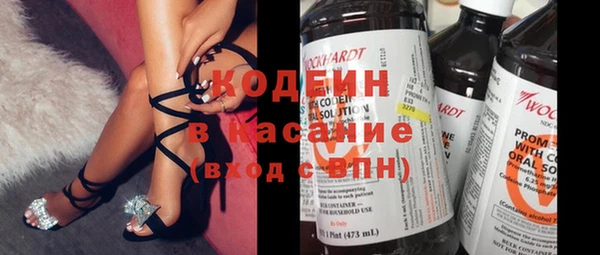 дмт Каменка
