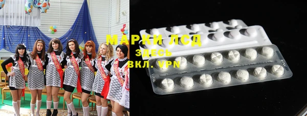 дмт Каменка