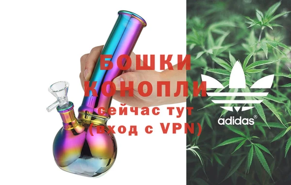 дмт Каменка