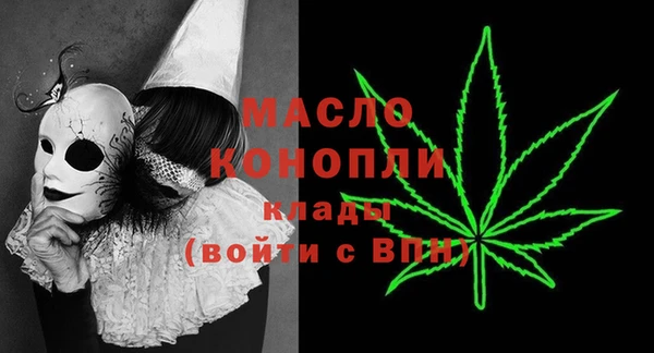 дмт Каменка