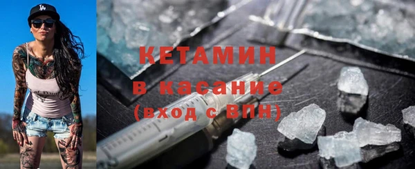 дмт Каменка