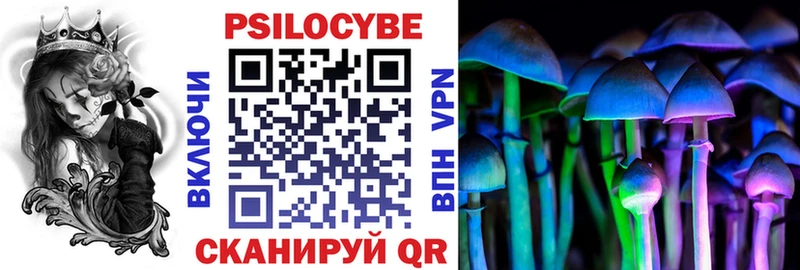 Купить закладки  Гусиноозёрск  Галлюциногенные грибы MAGIC MUSHROOMS 
